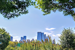 Hudson River Park Trust