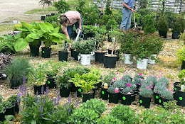 Singing Springs Nursery