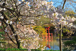 Brooklyn Botanic Garden