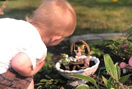 Little Fairy Library and Garden