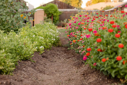 Garden Joy