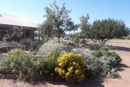 Chihuahuan Desert Research Institute