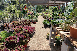 Bloomers Garden Center