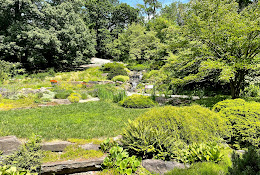 Rock Garden, NYBG