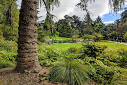 Coastal California Garden