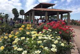 South Texas Botanical Gardens & Nature Center