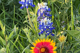 Williamson County Master Gardener Association Demonstration Garden