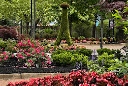 Tower Gardens