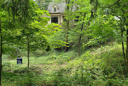 Lower Olentangy Urban Arboretum