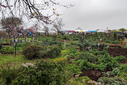 Sunshine Community Gardens