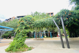 Yanaguana Garden at Hemisfair