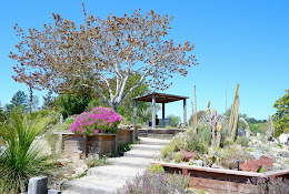 UC Santa Cruz Arboretum & Botanic Garden