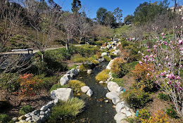 Japanese Friendship Garden and Museum