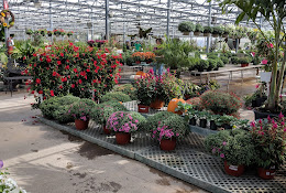 Strader’s Garden Center