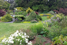 Mendocino Coast Botanical Gardens