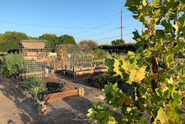 Community Life Garden