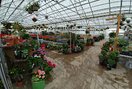 Strader’s Garden Center