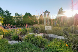 Texas Sculpture Garden