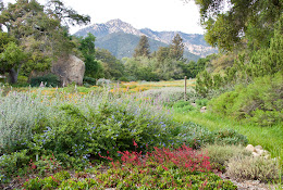 Santa Barbara Botanic Garden