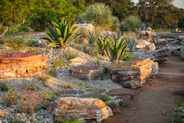 Houston Botanic Garden