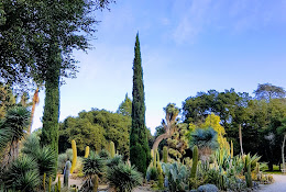 Arizona Garden