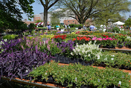 Chadwick Arboretum