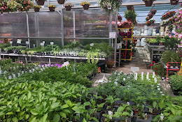 Strader’s Garden Center