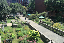 Elizabeth Street Garden