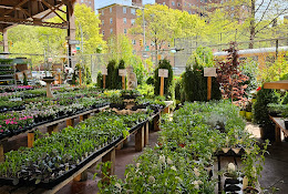 Urban Garden Center