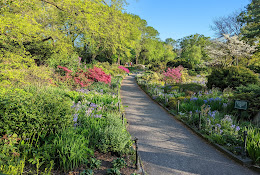 Heather Garden