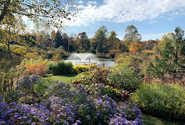 The Holden Arboretum