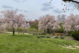 Lima Sister Cities Accs. Japanese Garden L.S.C.A.