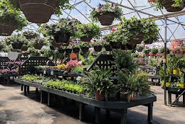 Scheiderer Farms Greenhouse