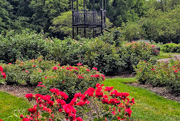 Park of Roses Shelter House