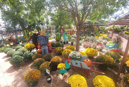 H & H Garden Center