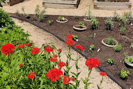 Bexley Community Garden