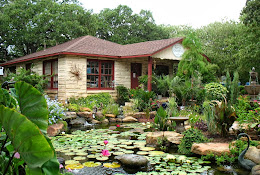 Hill Country Water Gardens and Nursery