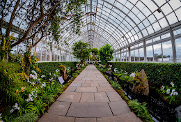 New York Botanical Garden