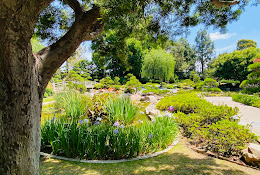 Earl Burns Miller Japanese Garden