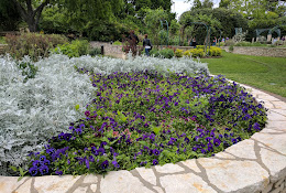 Botanical Research Institute of Texas