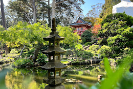 Japanese Tea Garden