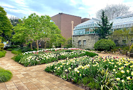 Conservatory Building