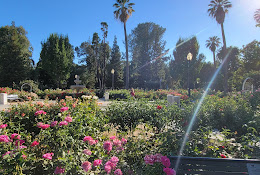 State Capitol Park World Peace Rose Garden