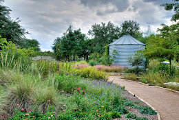 Lady Bird Johnson Wildflower Center