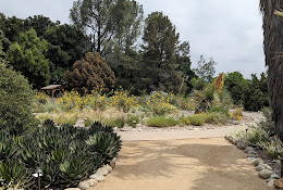 California Botanic Garden