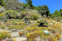 University of California Botanical Garden