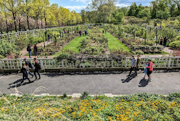 Robert W. Wilson Overlook