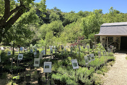 Natives of Texas Nursery