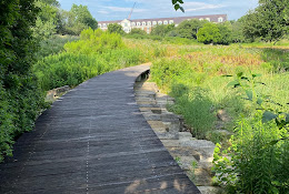 Native Texas Park