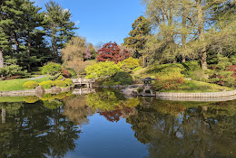 Japanese Hill-and-Pond Garden